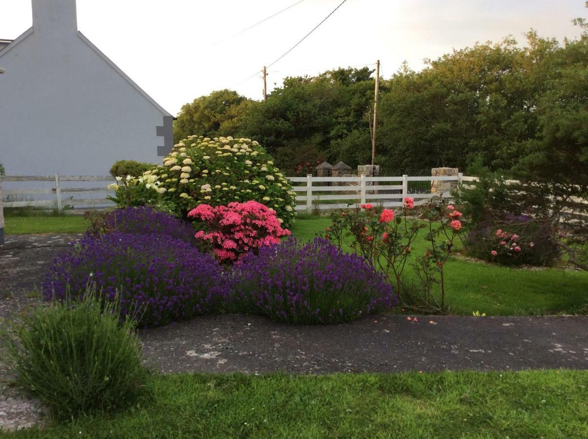 Kings Accommodation Donegal Town Esterno foto